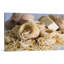 "Pasta Diner", reproduction de photo sur toile tendue-56129565