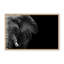 Nature Inspired Elephant by  - Picture Frame Photograph on Paper-81386946-131298013-131298023