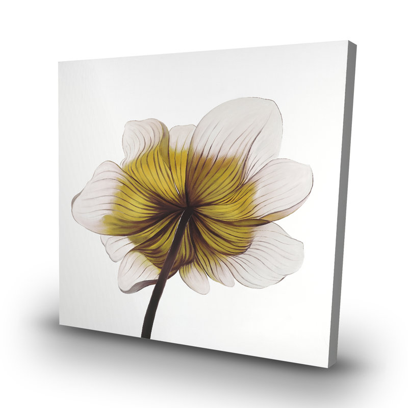Beautiful anemone flower - 32"x32" art on canvas