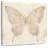 Brampt Fragility I-109215990