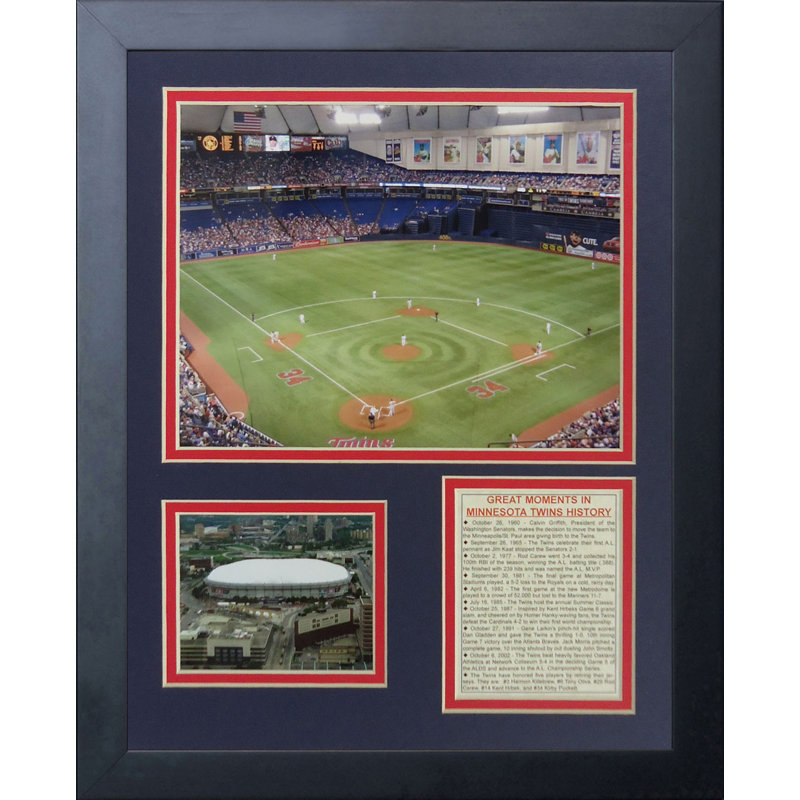 Souvenirs encadrée palmiers-metrodome minnesota