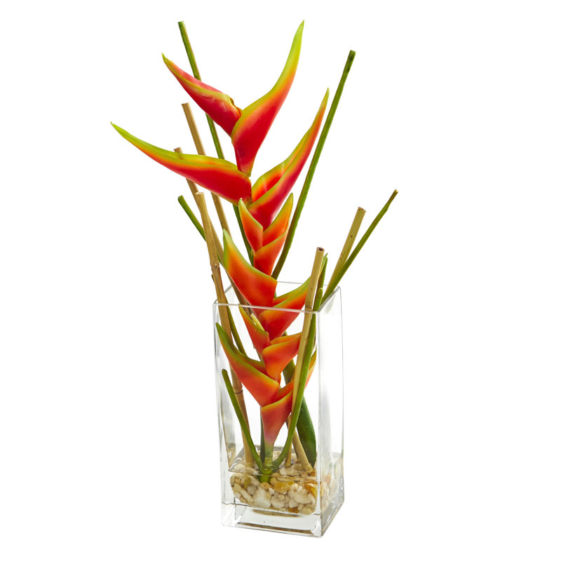 Petite pièce maîtresse heliconiae en vase