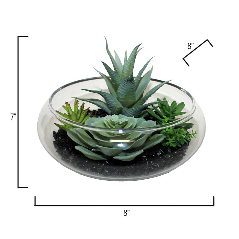 6'' Faux Succulent Plant in Glass Vase
