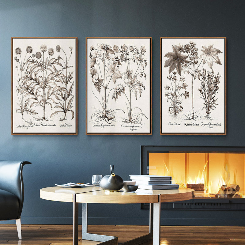 Sépia Besler Botanicals IV, ensemble de 3 toiles encadrées, Noyer, H 40 po x l 78 po