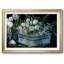 Tulipes sauvages-552863865-552863876