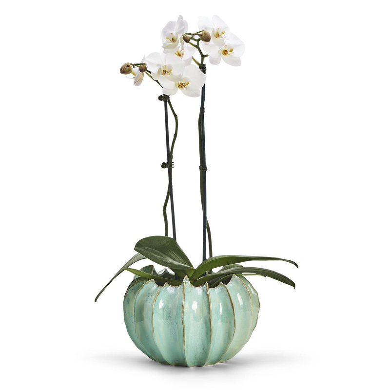 Grand vase Lassel