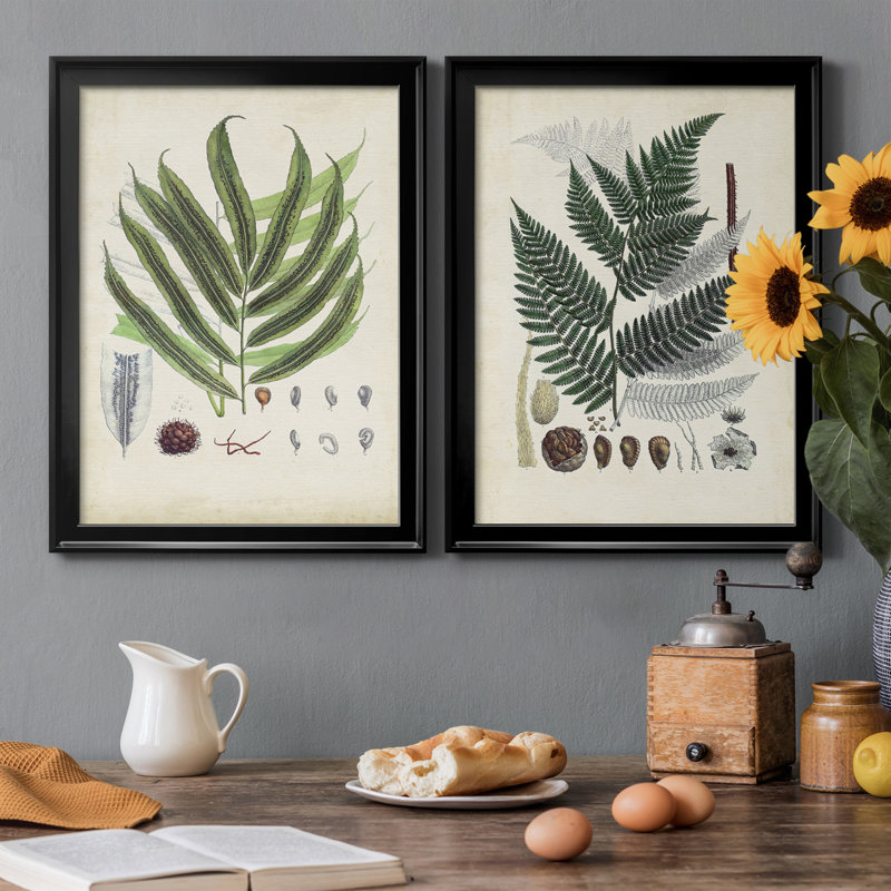 Collection de fougères III - ensemble de 2 impressions encadrées sur toile, H 42,5 po x l 30,5 po x P 1,25 po, Cadre noir
