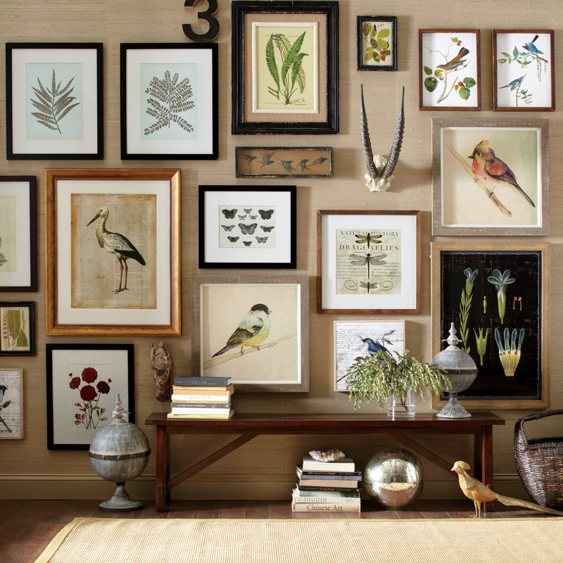 Petite Bird Framed Print Collection