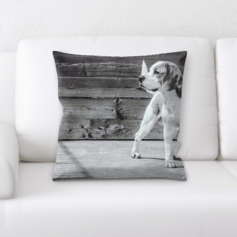 Coussin décoratif chien watch Grattan