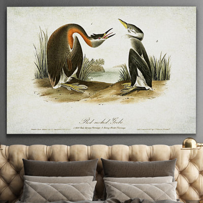 " Aviary Sketch XXV "