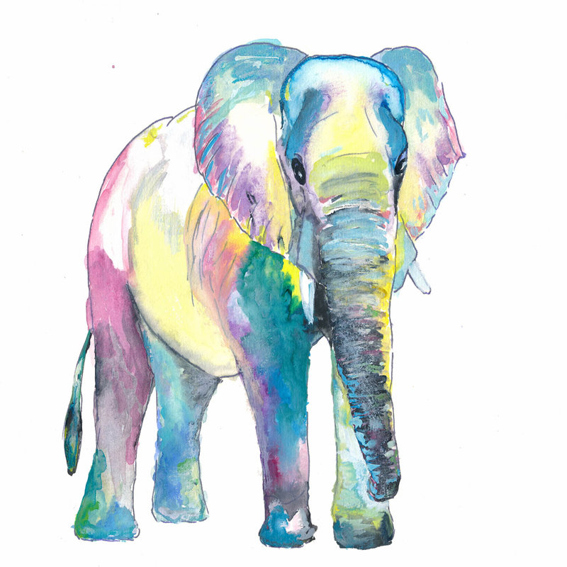 Ensemble de housse de couette pour grand lit DiaNoche en microfibre par Markus Bleichner - Grand éléphant