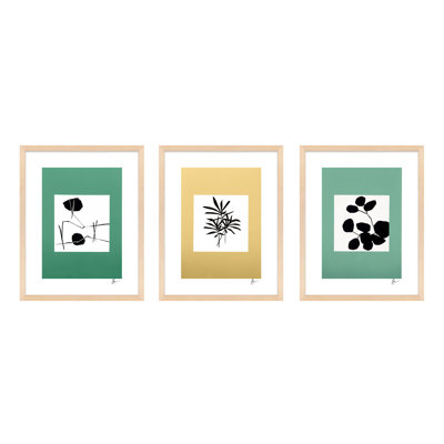 Modern Botanical. Set Of 3 Painting by Lee Lessem