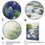 Blue Bonnets, impression romantique V - impression-1052725456-1052725446