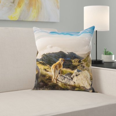 Coussin pour chien