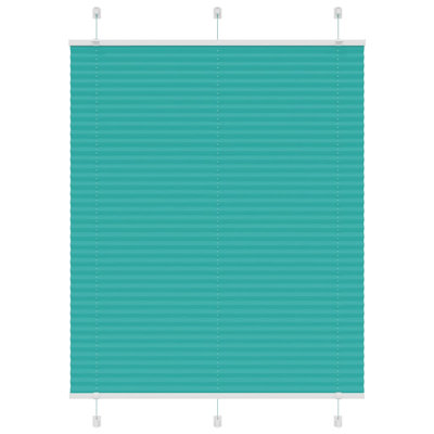 Room Darkening Pleated shade