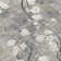 Machine Washable Indoor/Outdoor Boruta ACN2248 Floral Rug