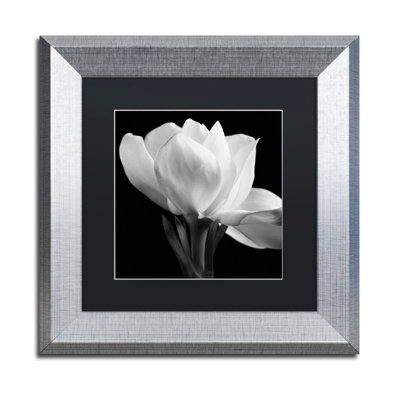 « gardenia », reproduction d’art sur toile encadrée