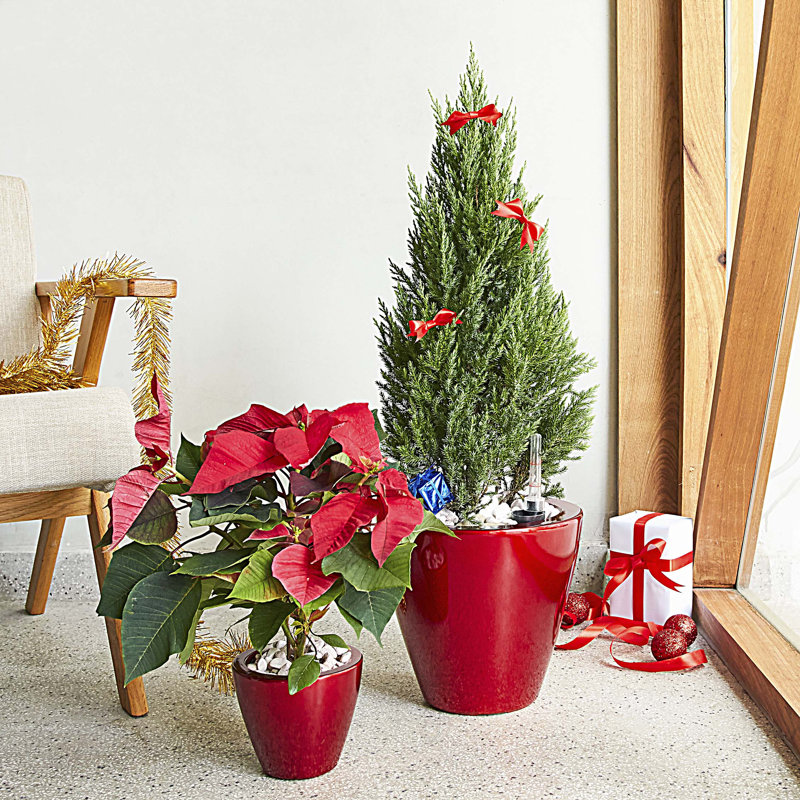 2-Pack Smart Self-watering Planter Pot, Red