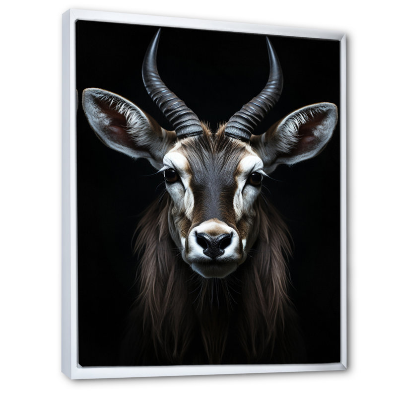 Antilope Keionna, photo II - impression, H 44 po x l 34 po x P 1,5 po, Cadre flottant blanc