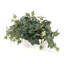 Lierre artificiel 9,75 "en pot