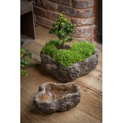 Cahoon Statue Planter
