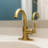 Lulani Aurora Single Hole Bathroom Faucet with Drain Assembly-86713046
