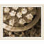 Floating Flowers' Framed Photographic Print on Glass