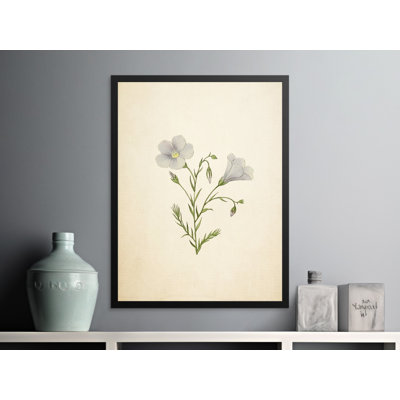 Andrews Print