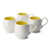 White/Yellow