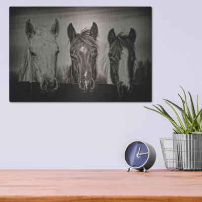 Luxe Métal Art «Three Amigos I» par PH Burchett, Me «Three Amigos I» par PH Burchett