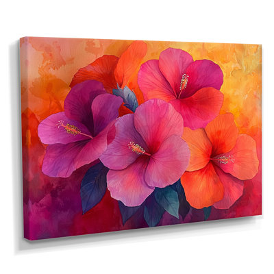 Hibiscus Vivid Hues