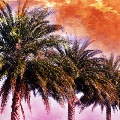 Hifi Palms I - Wrapped Canvas Print
