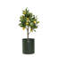 Grow Metal Planter-55818097-55818098