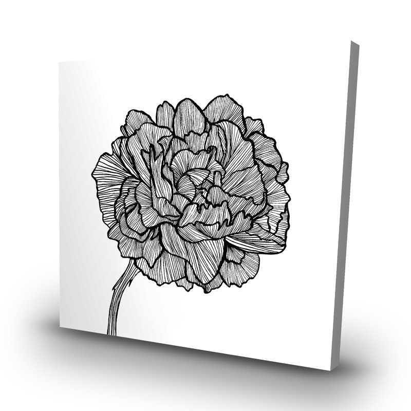 Peony line - 32"x32" art on canvas