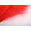 Pampas-508434785-483141768
