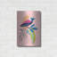 «Exotic Birds I» par Omar Escalante-220038273