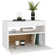Sacha TV Cabinet with LED Lights 60 x 35 x 40 cm