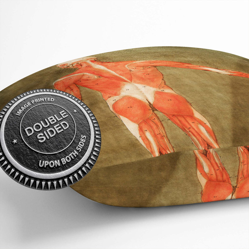 Square Cushion, 55cm H x 55cm W x 20cm D