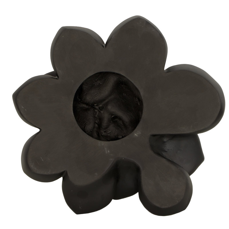 Laui Succulent Wall Decor