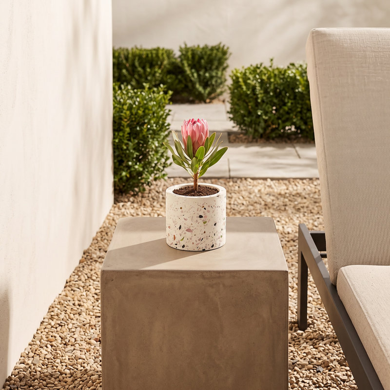 Aubren Stone Pot Planter