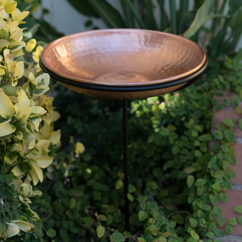 Birdbath