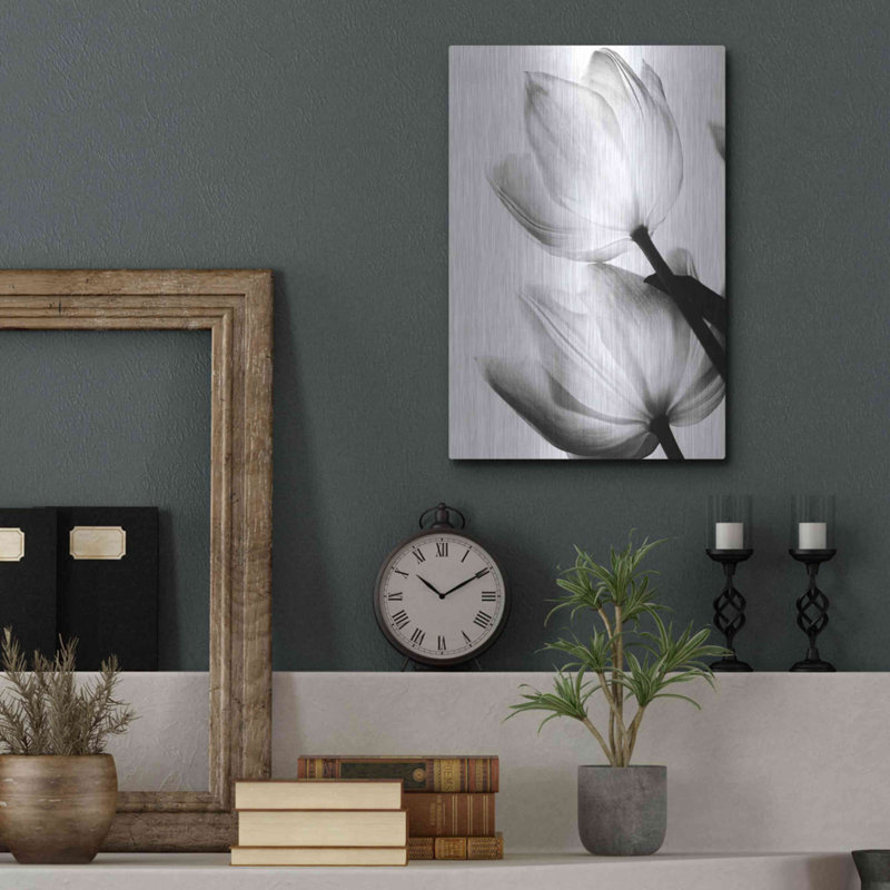Tulipes translucides II par Debra Van Swearingen, H 16 po x l 12 po