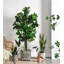 Faux Fiddle Leaf Fig Tree in Pot-927493057