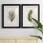 Palm Botanical I - ensemble de 2 impressions-1280204973-1280204983-1211584034