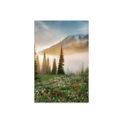 Rainier Wildflowers