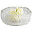 Clearly Thorough Glass Decorative Bowl