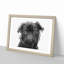 Pug Dog in Abstract - Framed Print-55768030-55768029