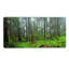 Hoh Rain Forest - reproduction de photo sur toile tendue-1655828957-1649635790