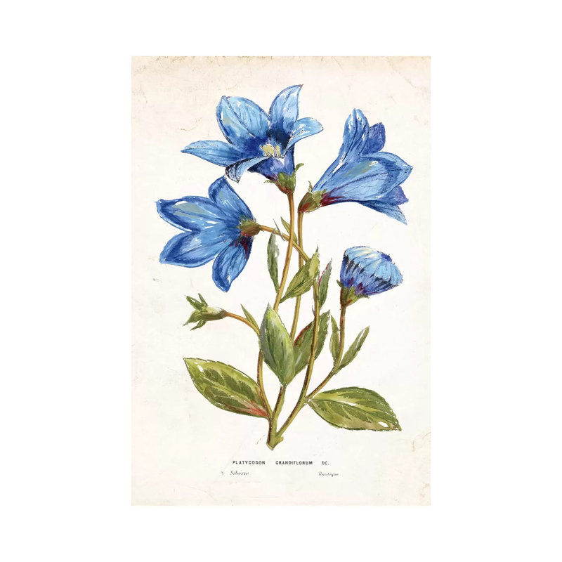 Blue Impression by Tava Studios - Wrapped Canvas Painting, 20.32 cm H x 30.48 cm W