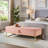 Bed Bench Metal Base With Storage For Bedroom-1159448363